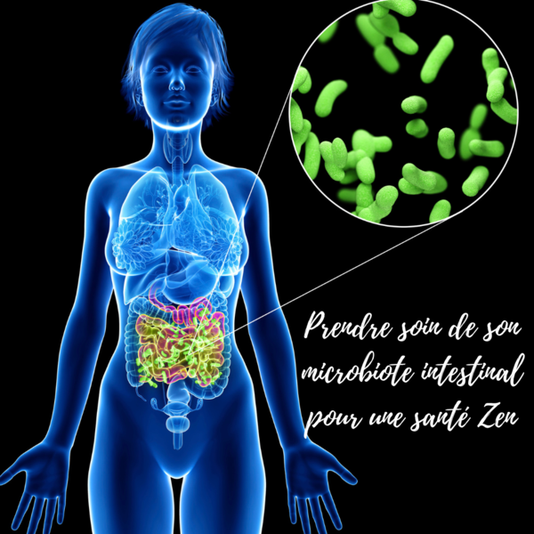 Prendre soin de son microbiote intestinal pour une santé Zen le guide — free download